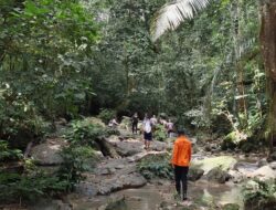 Tim SAR Dikerahkan untuk Mencari Warga Hilang di Hutan